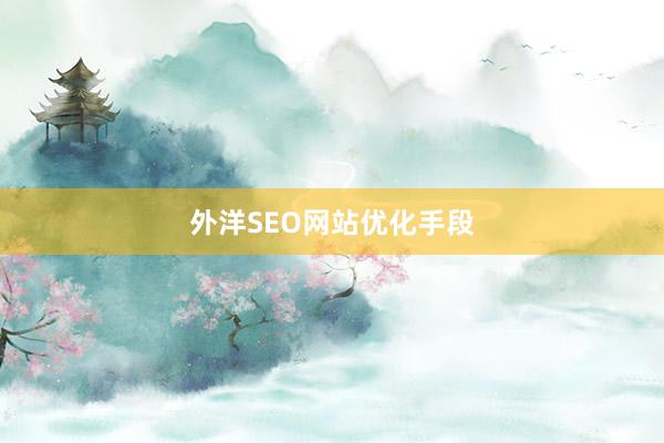外洋SEO网站优化手段