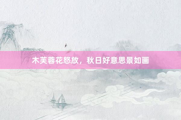 木芙蓉花怒放，秋日好意思景如画
