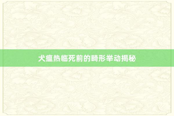 犬瘟热临死前的畸形举动揭秘