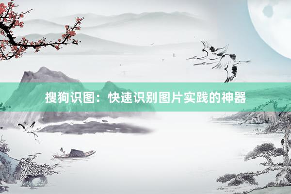 搜狗识图:快速识别图片实践的神器